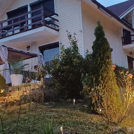 Вилла Casa Irina Пьятра-Нямц Экстерьер фото