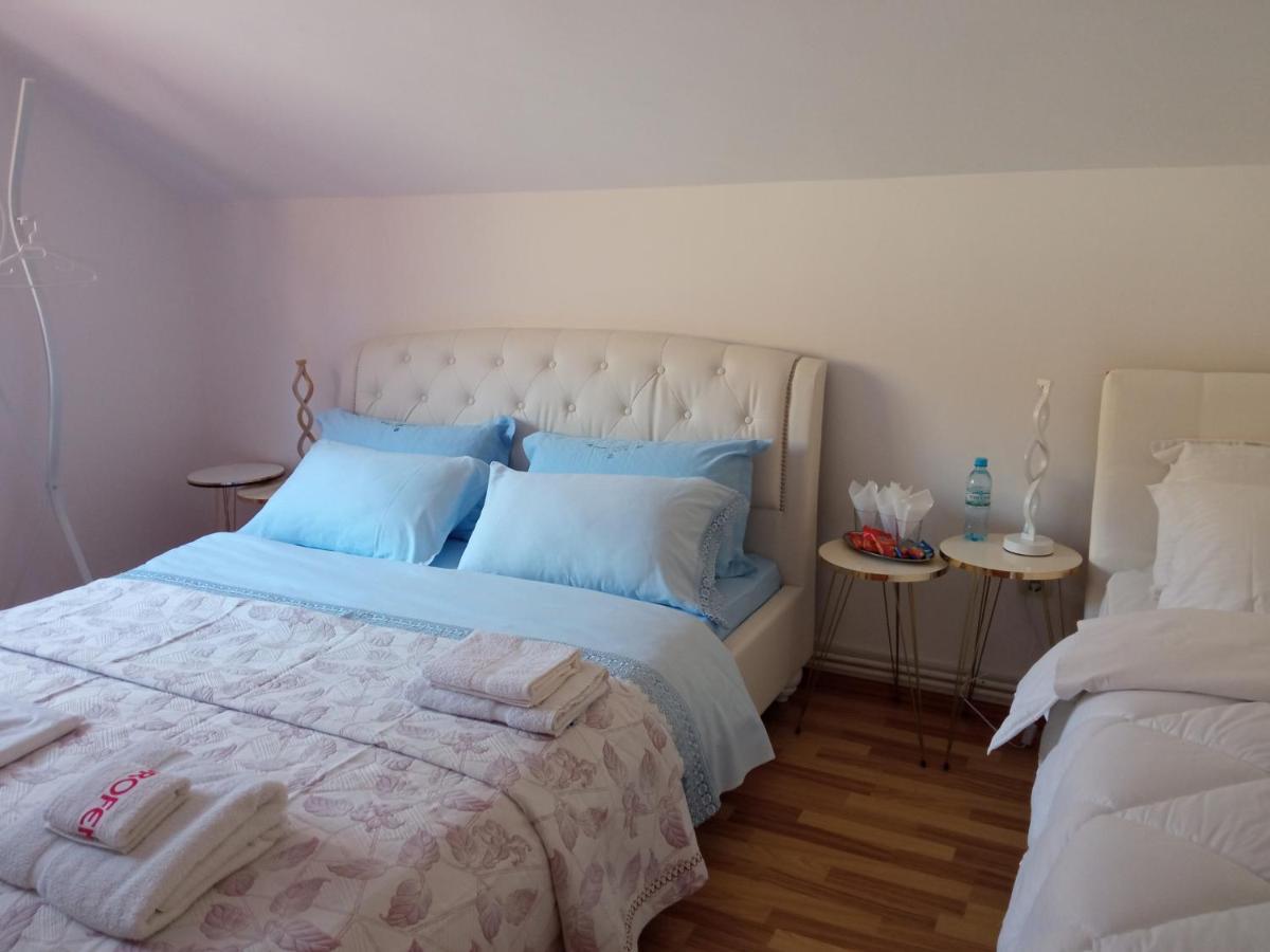 Вилла Casa Irina Пьятра-Нямц Экстерьер фото