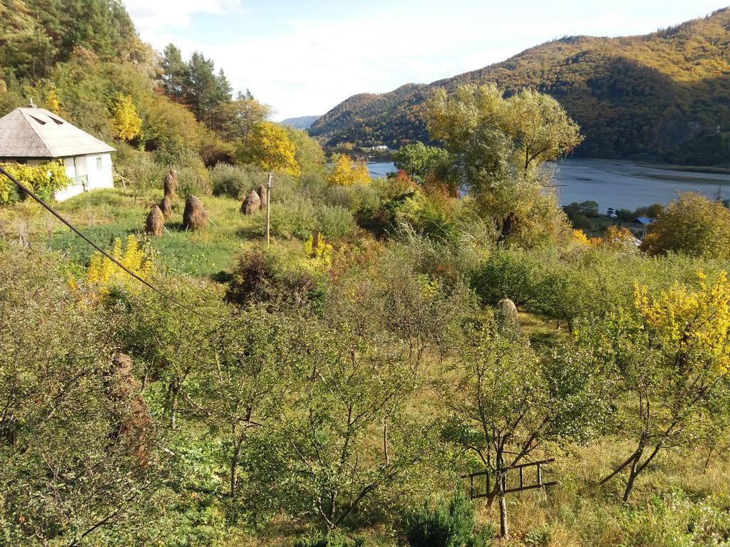 Вилла Casa Irina Пьятра-Нямц Экстерьер фото